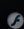 download flash